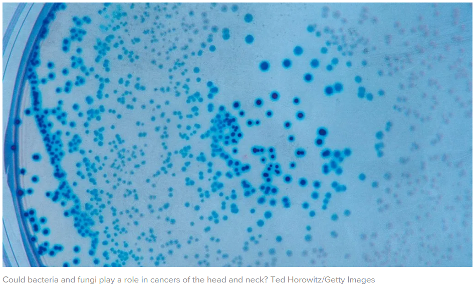 Bacteria and fungi might increase risk of head and neck cancers