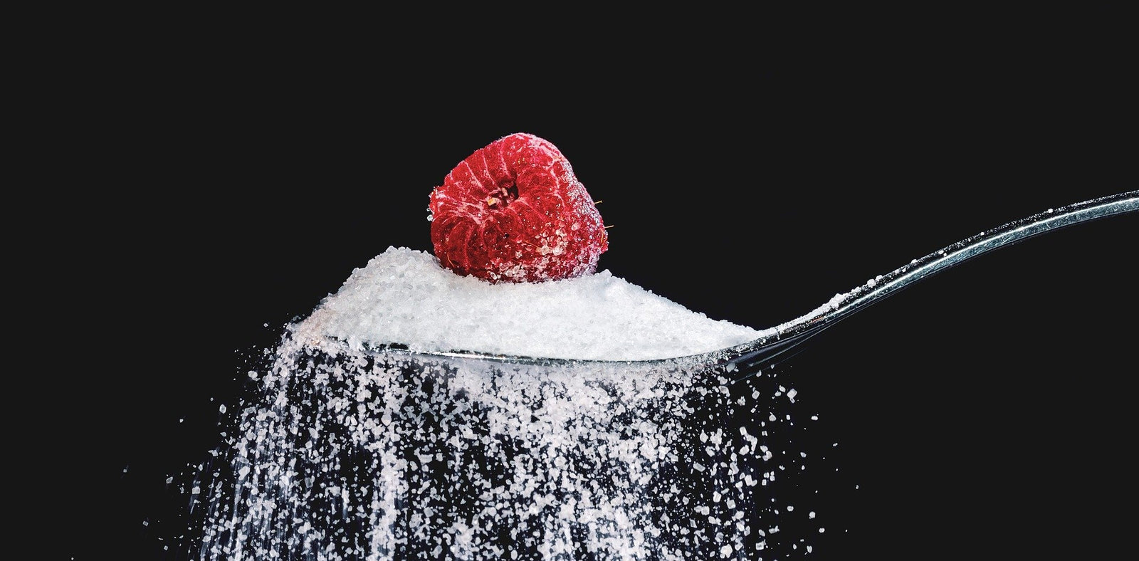 What is Xylitol?