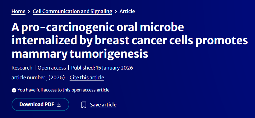 A pro-carcinogenic oral microbe internalized by breast cancer cells promotes mammary tumorigenesis